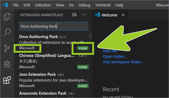 VSC install button, inside the extension information pane