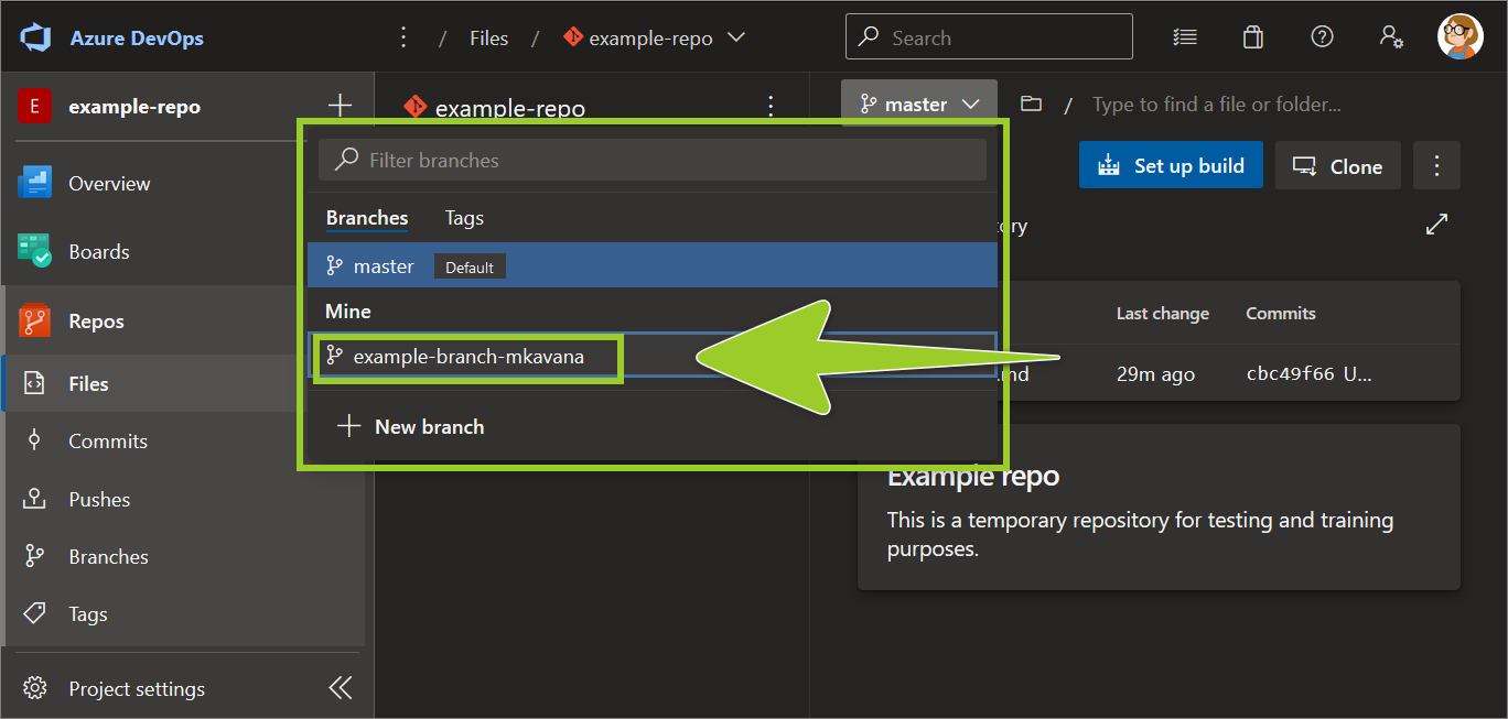 Example AzDevOps repo with the 'branch dropdown' set to the branch 'example-branch-mkavana'