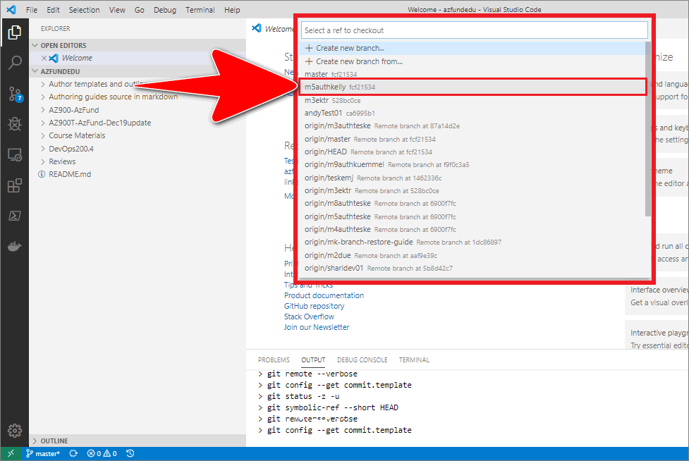 Example branch selected in the VSC branch pane