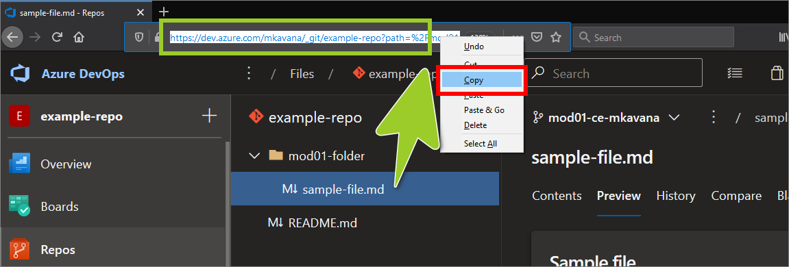 Example AzDevOps repo with a sample URL in the address bar for a sample branch name and filepath