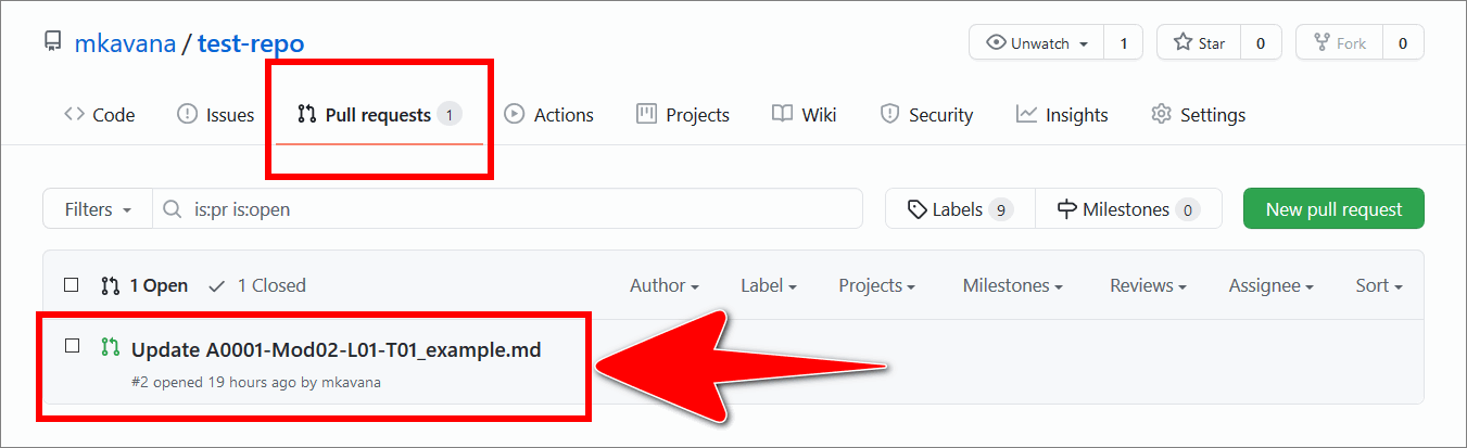 Example PR selected in the GitHub 'Pull requests' tab