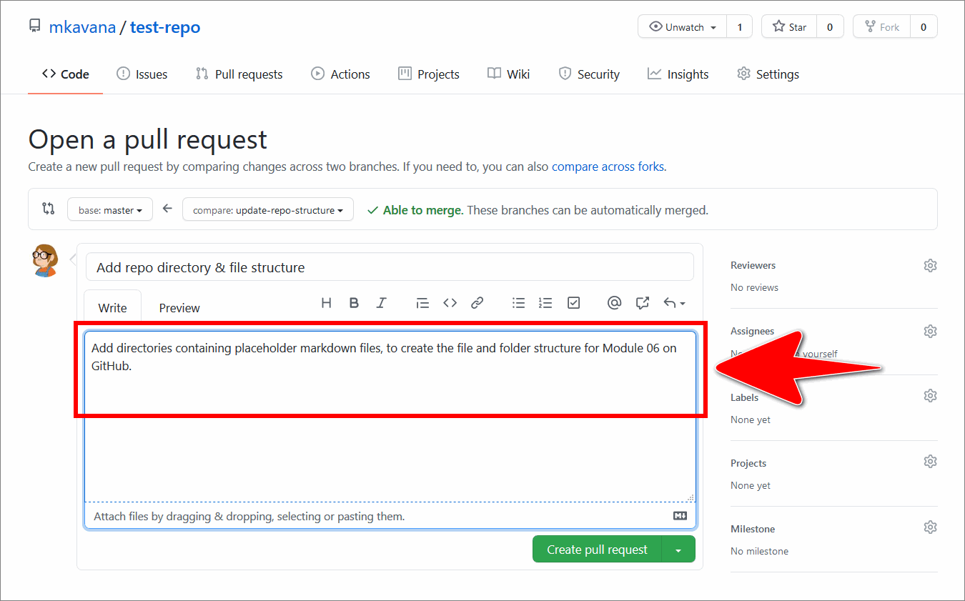 Example extended description in the 'Write' tab on the GitHub 'Open a pull request' page