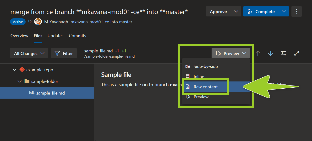 Example AzDevOps PR repo with the dropdown option for comparing file changes set to 'Raw content'